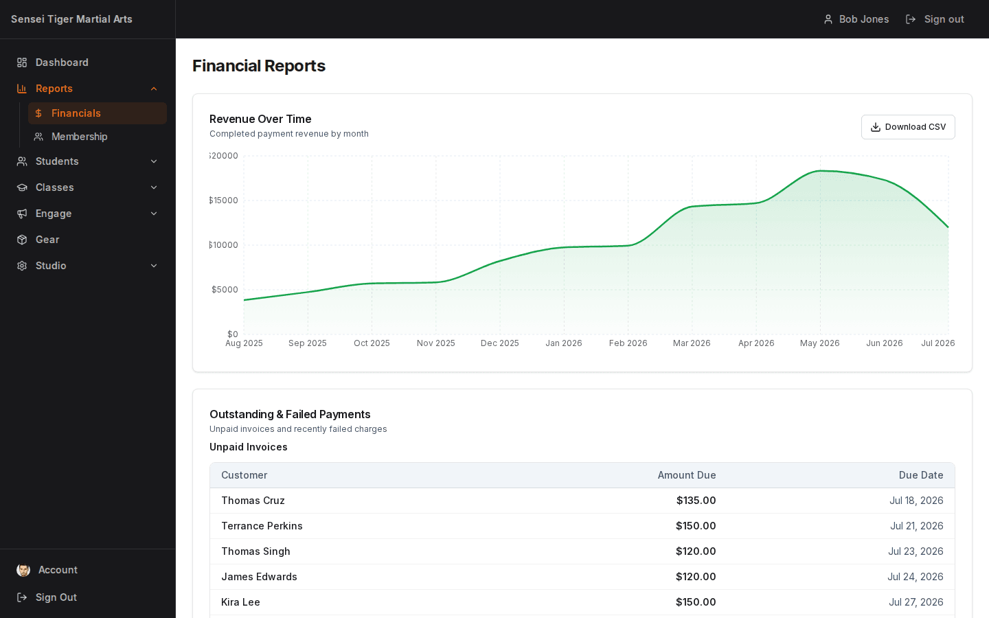 Dojo Tiger — Financial Reports